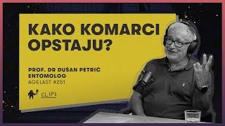 Kako komarci opstaju?