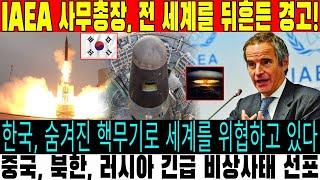 세계가 경악한 한국의 핵무기 비밀! IAEA 사무총장이 경고한 이유는?