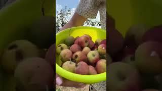 Хейтерам посвящается 