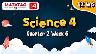 MATATAG Science 4 Quarter 2 Week 6