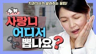 사랑니발치 어디서 해야 하나요?? 치과의사가 알려주는 꿀팁 | 강남 아름드리치과