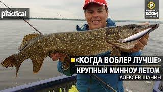 "Когда воблер лучше."  Крупный минноу летом.  Алексей Шанин. Anglers Practical