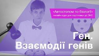 Ген. Взаємодії генів – Підготовка до ЗНО – Біологія