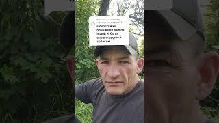 Игра с собакой в перетяжки ️ #кременчуг #собака #играссобакой