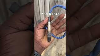 What is this?
