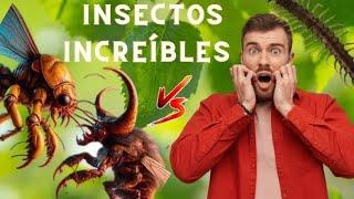 7 INSECTOS con SUPERPODERES QUE JAMÁS CREERÍAS....