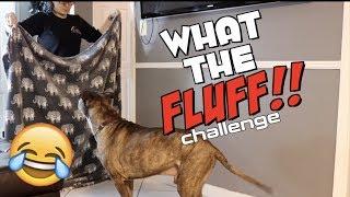 What the fluff challenge! With all 5 dogs