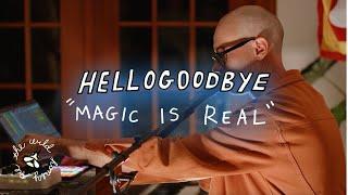 Hellogoodbye - Magic Is Real | The Wild Honey Pie Pizza Party