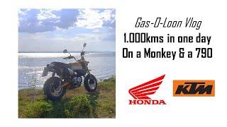 Gas-O-Loon Vlog: 1000 kms on a Honda Monkey and KTM 790 Adv R. In one day.