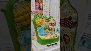 Infinity Science Zone