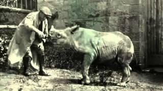 Edinburgh zoo opens its archives to celebrate 100 years since it was set up