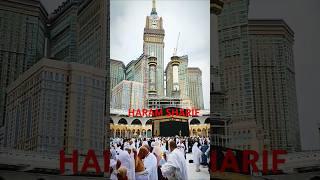 MAKKAH MADINA LIVE  #shorts #makkah  #madina #shortsfeed #viralvideo