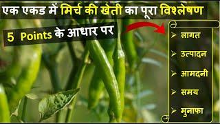 एक एकड़ मिर्च की खेती में लागत, आमदनी और प्रॉफिट की पूरी जानकारी | Green Chili Farming In India