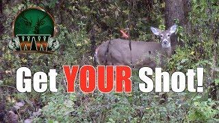 BEST Way to Funnel Deer | Bow Hunting