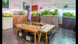 Aquarium Gardens Aquascaping Showroom Tour 2019, UK Aquascaping and Planted Aquarium Specialists