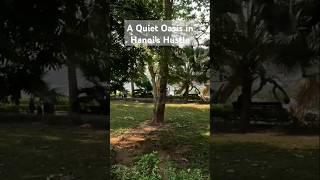 A Peaceful Green Escape in the Heart of Busy Hanoi | 4K Short. #virtualtravel #hanoitour