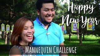 Mannequin Challenge | New Year Version | VLOG #10 | Phoebe E