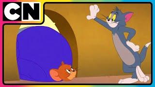 Tom and Jerry | Tom’s Noisy Revenge on Spike!  | Cat and Mouse | Compilation |  @cnindia