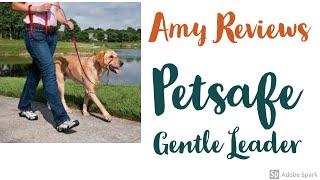 PetSafe Gentle Leader Headcollar, No-Pull Dog Collar Review