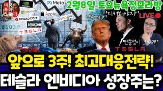 미국주식/앞으로 3주! 최고 대응전략은? (편집본)/테슬라 엔비디아 구글 애플 아마존 메타 마이크로소프트 브로드컴 팔란티어 아이온큐 리게티 SMCI LLY 노보등 $tsla