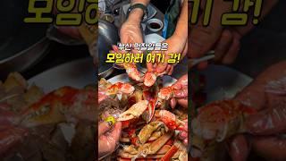 1kg당 49,000원으로 대게 먹고 온 썰 푼다.(3월 21일 금요일 기준 가격)부산 사람이라면 다 안다는 가성비갑 킹크랩, 대게 맛집#전포동 #해신킹크랩