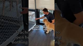 Not again! I made a BIG training mistake 