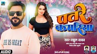 AUDIO | Rahul Yadav | Had Kaila Ho Patare Kamariya Me Darad Kaila Ho | Bhojpuri Song 2024 |