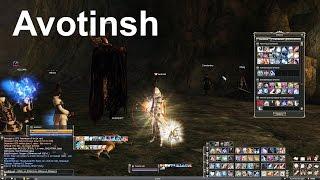 FIRST LEVEL 79 Avotinsh THE WORLD RECORD OF EXPING Lineage 2 Classic