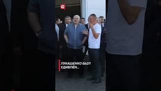 Лукашенко был удивлён… #лукашенко #новости #политика #беларусь #фермы #shorts