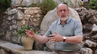 Jesus and Paul: Different Gospels? (N. T. Wright Q&A)