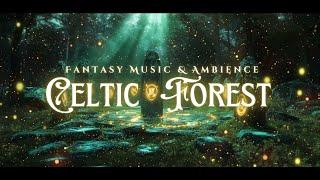 Celtic Forest Music | Medieval Fantasy Music & Ambience | In The Deep Forest of Druids