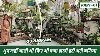 धूप नहीं आती थी, फिर भी बना डाली हरी भरी बगिया 🪴 Low Sunlight Garden Tour  Part-01