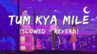 TUM KYA MILE (SLOWED + REVERB) | ARIJIT SINGH | ROCKY AUR RANI KI PREM KAHANI |