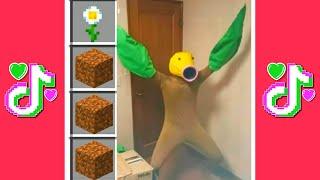 TIK TOK MINECRAFT COMPILATION 8  MEJORES MOMENTOS + FAILS + RISA + GRACIOSOS.