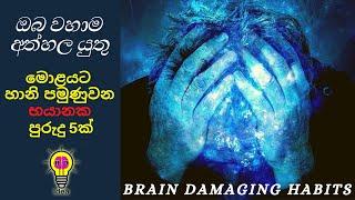 Brain Damaging Habits | Brain Health | Brain power | Health Tips | HD idea | මොළයට හානිදායක පුරුදු