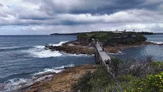 Roaming the wilds of Bear Island, Sydney! #BearIslandSydney #NatureAdventure #SydneyExplorers" ️