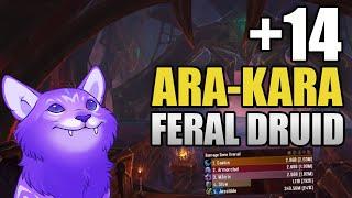 Ara-Kara +14 | Feral Druid POV | TWW Season 1