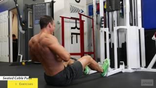 Best Back Exercises