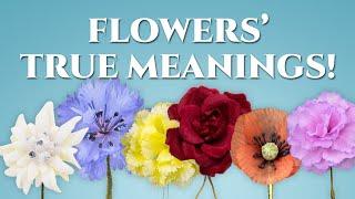 The True Meanings of Flowers, Revealed!