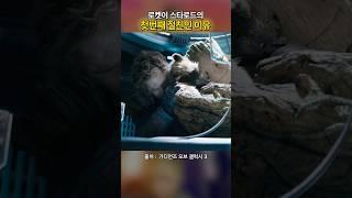 로켓이 스타로드의 절친인 이유 ㄷㄷ #마블 #mcu