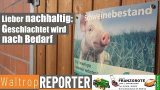 Nachhaltige Fleischproduktion: Landwirt schlachtet jetzt "bedarfsgerecht"