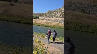 สองตายายจูงมือกันไปตกปลา fishing #shorts #wyoming #usa