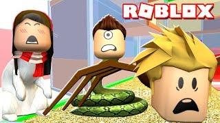 ROBLOX PET ESCAPE w/ Gamer Chad & Dollastic Plays! | MicroGuardian