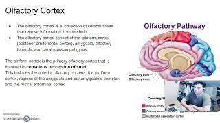 Chemoreception - Presented by Matthew Lozancich