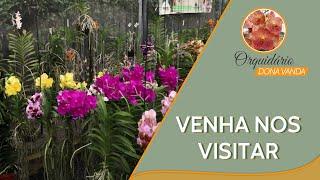 Venha nos visitar | Orquidário Dona Vanda