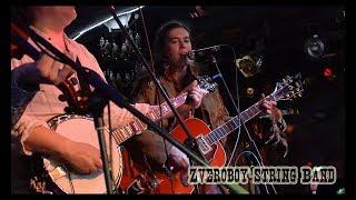 ZVERO'BOY STRING BAND - This Train is Bound For Glory