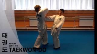 TAEKWON  DO