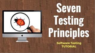 Seven Testing Principles: Software Testing