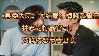 《县委大院》结局：梅晓歌离任，林志为打赢官司，艾鲜枝家庭曝光