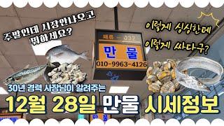 12월 28일 노량진수산시장 만물 (패류031) 시세정보 입니다.⭐️특별이벤트 포함⭐️